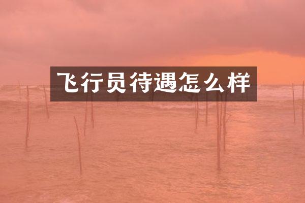 飞行员待遇怎么样