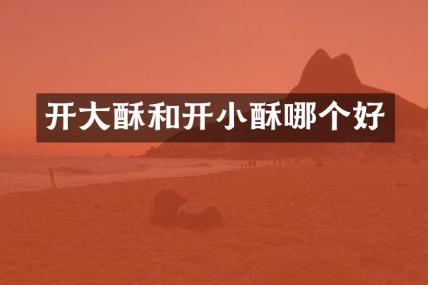 开大酥和开小酥哪个好