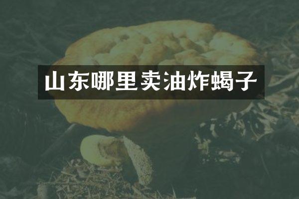 山东哪里卖油炸蝎子