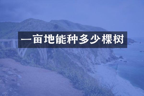 一亩地能种多少棵树