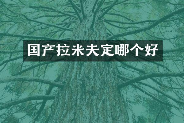 国产拉米夫定哪个好