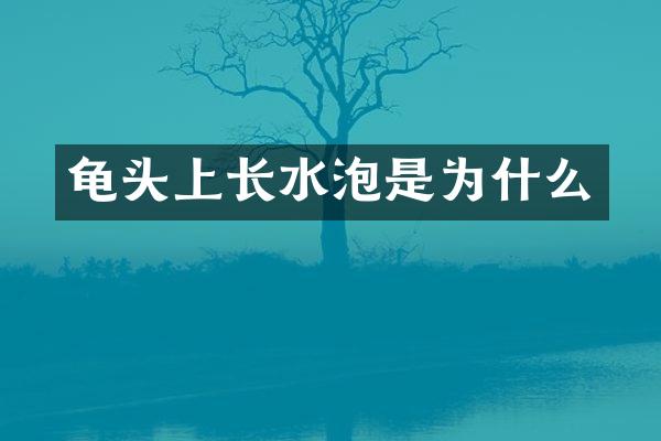 龟头上长水泡是为什么