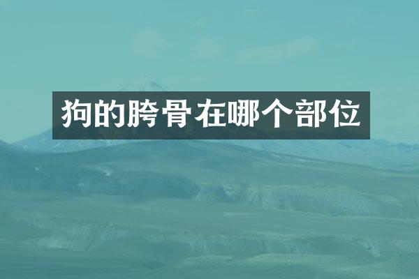 狗的胯骨在哪个部位