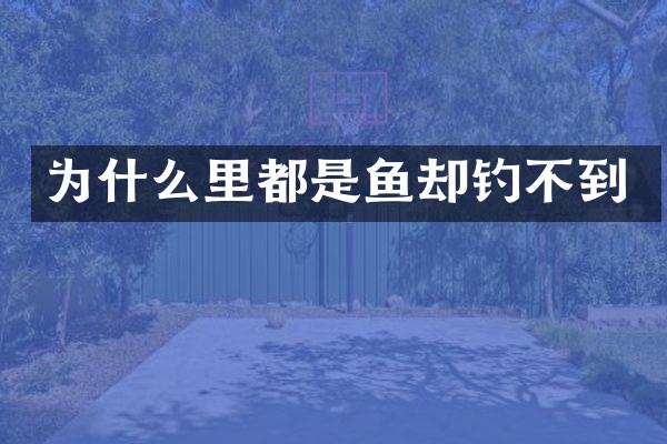 为什么里都是鱼却钓不到