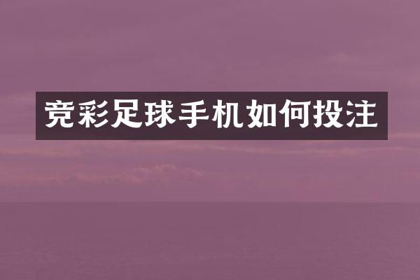 竞彩足球手机如何投注