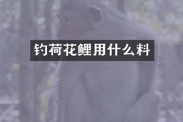 钓荷花鲤用什么料