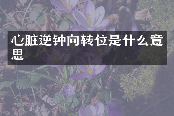 心脏逆钟向转位是什么意思