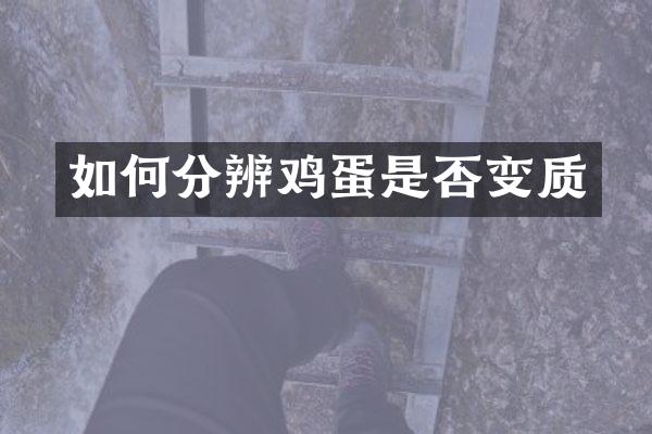 如何分辨鸡蛋是否变质