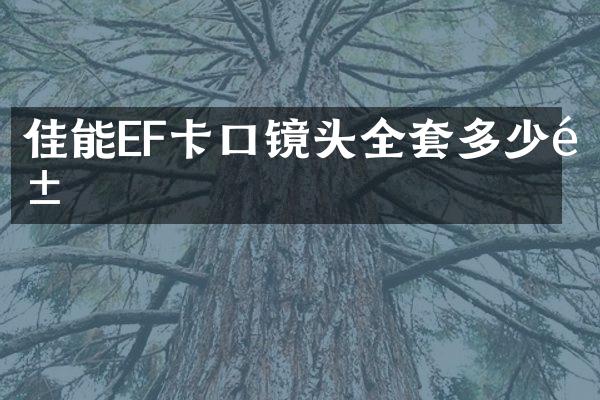 佳能EF卡口镜头全套多少钱