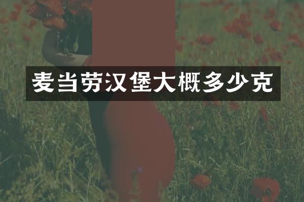 麦当劳汉堡大概多少克