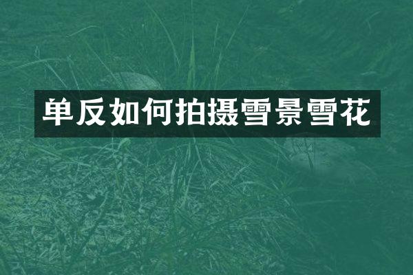 单反如何拍摄雪景雪花