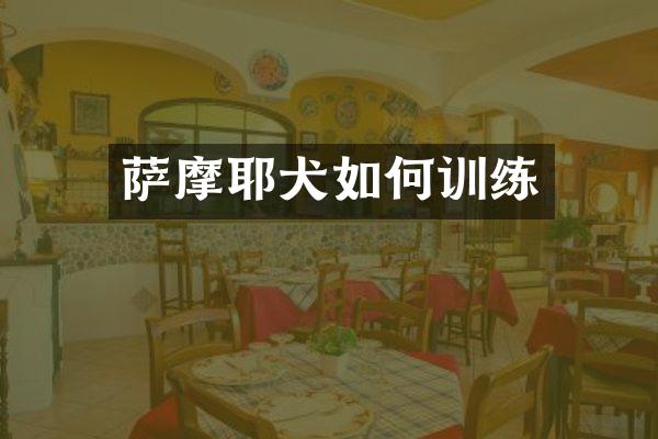 萨摩耶犬如何训练