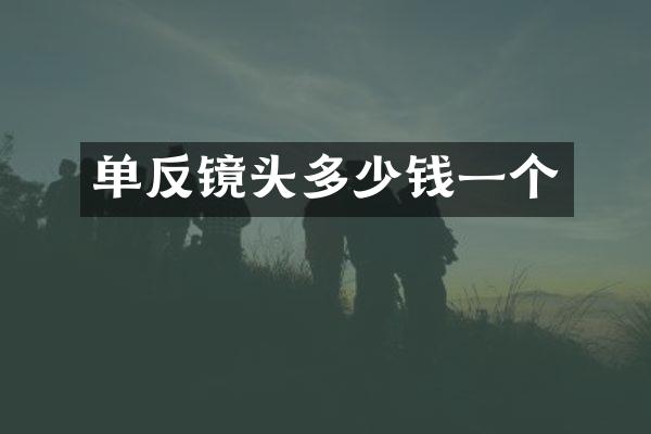 单反镜头多少钱一个