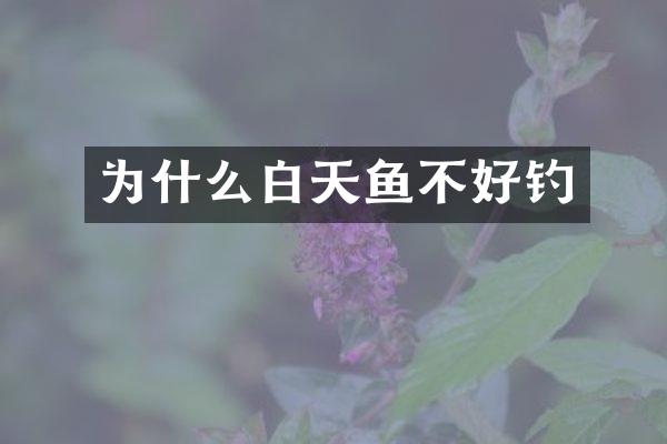 为什么白天鱼不好钓