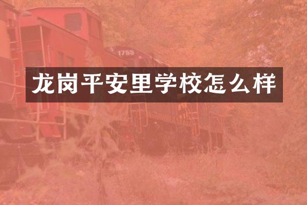 龙岗平安里学校怎么样