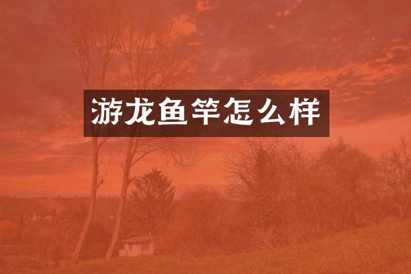 游龙鱼竿怎么样