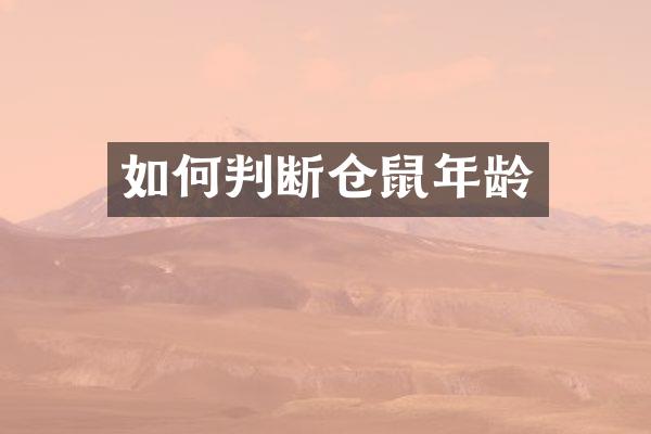 如何判断仓鼠年龄