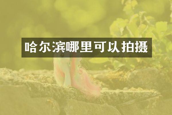哈尔滨哪里可以拍摄