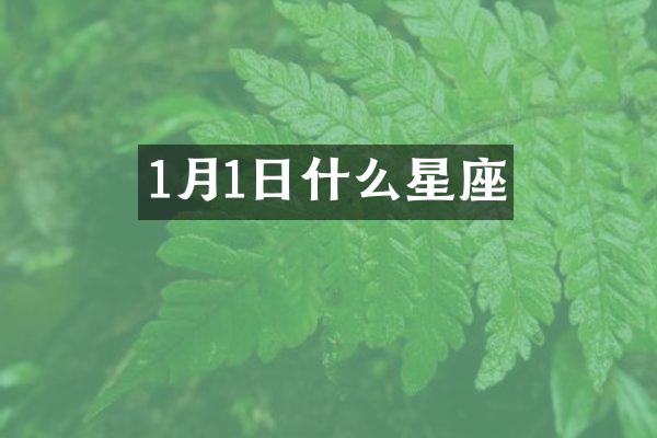 1月1日什么星座