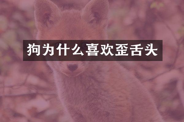 狗为什么喜欢歪舌头