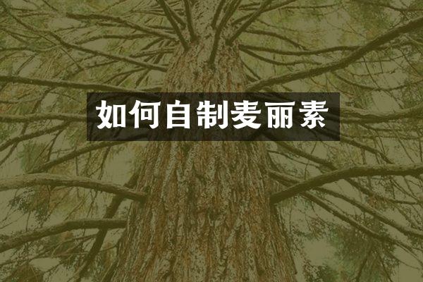 如何自制麦丽素