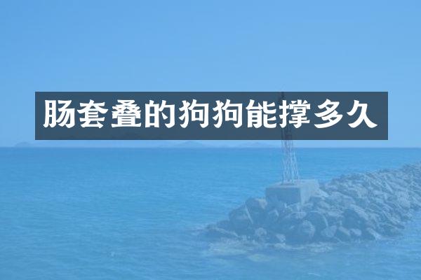 肠套叠的狗狗能撑多久