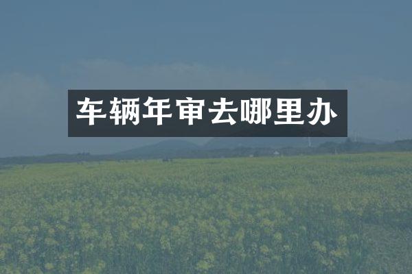车辆年审去哪里办