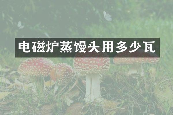 电磁炉蒸馒头用多少瓦