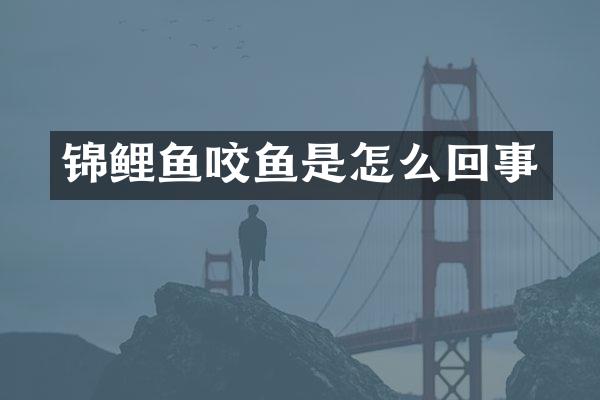 锦鲤鱼咬鱼是怎么回事