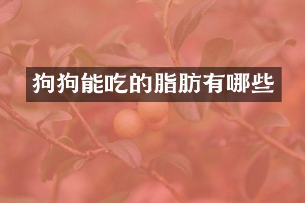 狗狗能吃的脂肪有哪些