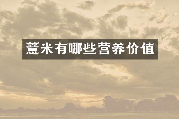 薏米有哪些营养价值