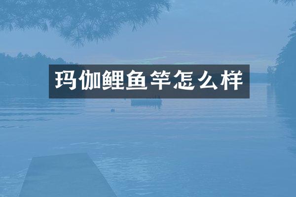 玛伽鲤鱼竿怎么样