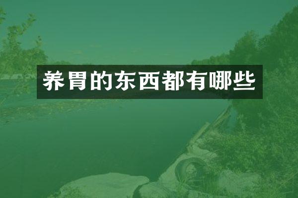 养胃的东西都有哪些
