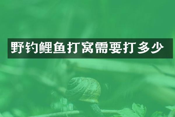 野钓鲤鱼打窝需要打多少