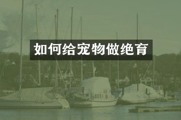 如何给宠物做绝育