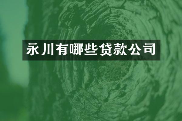 永川有哪些贷款公司