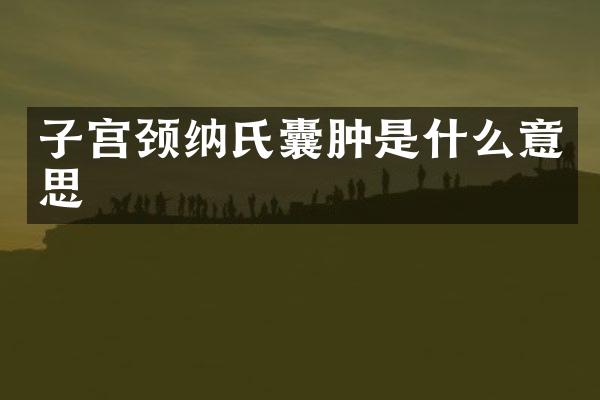 子宫颈纳氏囊肿是什么意思