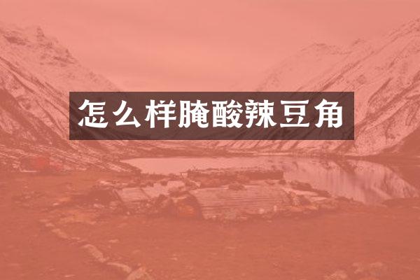 怎么样腌酸辣豆角