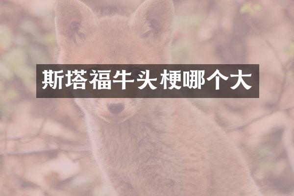 斯塔福牛头梗哪个大