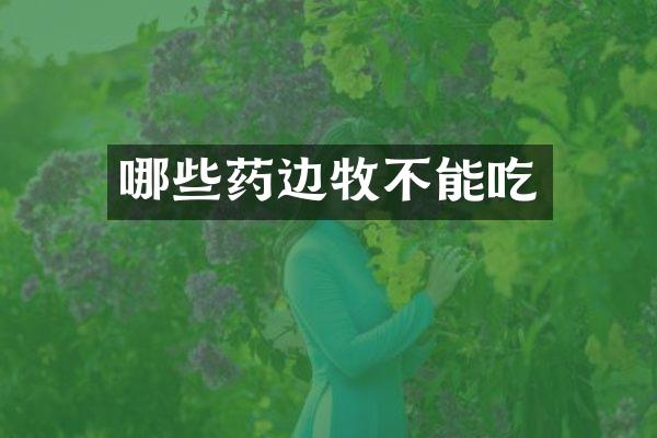 哪些药边牧不能吃