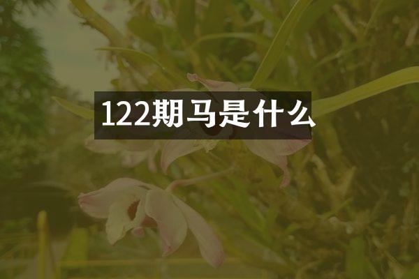 122期马是什么