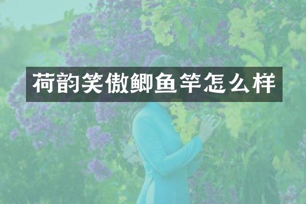 荷韵笑傲鲫鱼竿怎么样