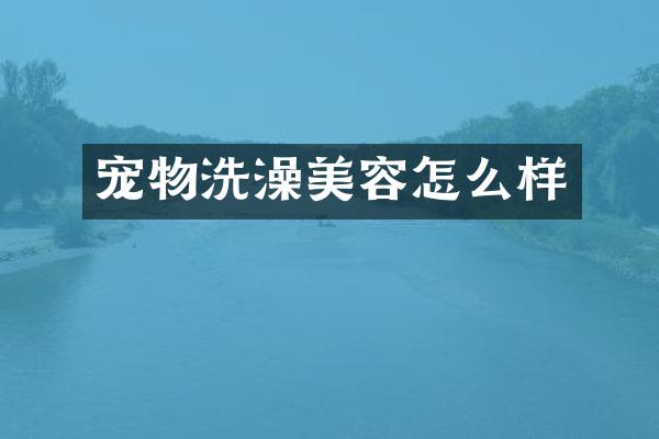宠物洗澡美容怎么样