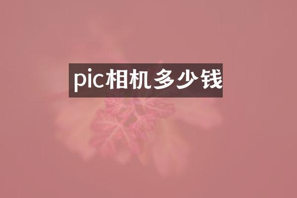pic相机多少钱