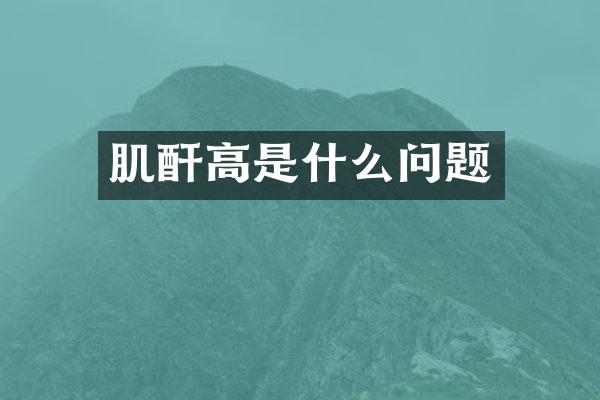 肌酐高是什么问题