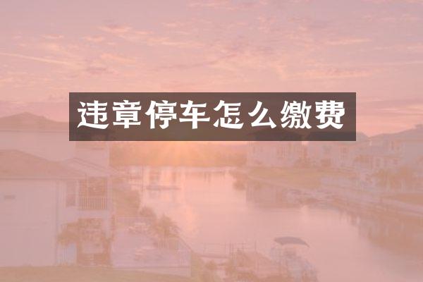 违章停车怎么缴费