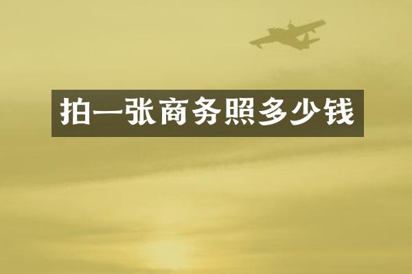 拍一张商务照多少钱