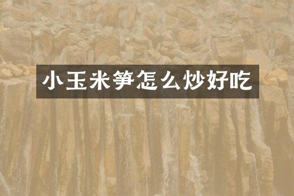 小玉米笋怎么炒好吃