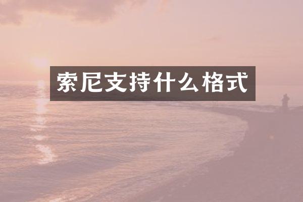 索尼支持什么格式