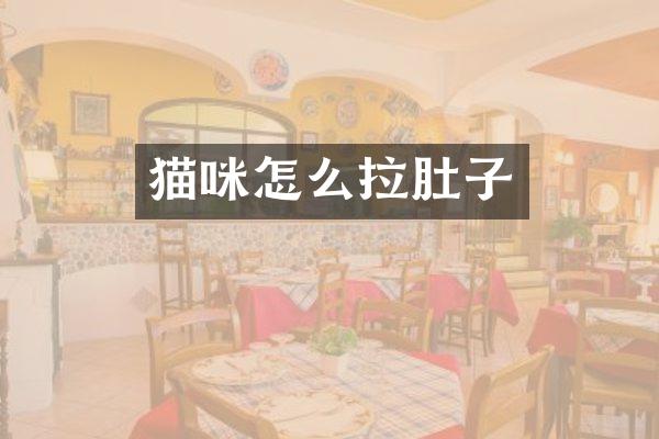 猫咪怎么拉肚子